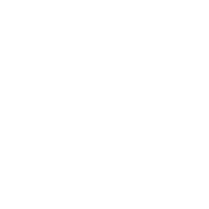 Logo Tom Wamberg Portraits